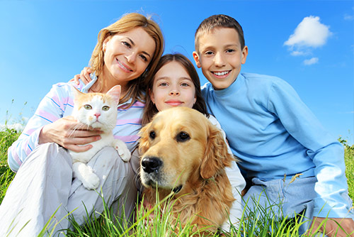 Happy family with pets resting outdoor, sitting on green grass 